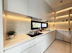 Siglap Road (D15), Detached #635975171